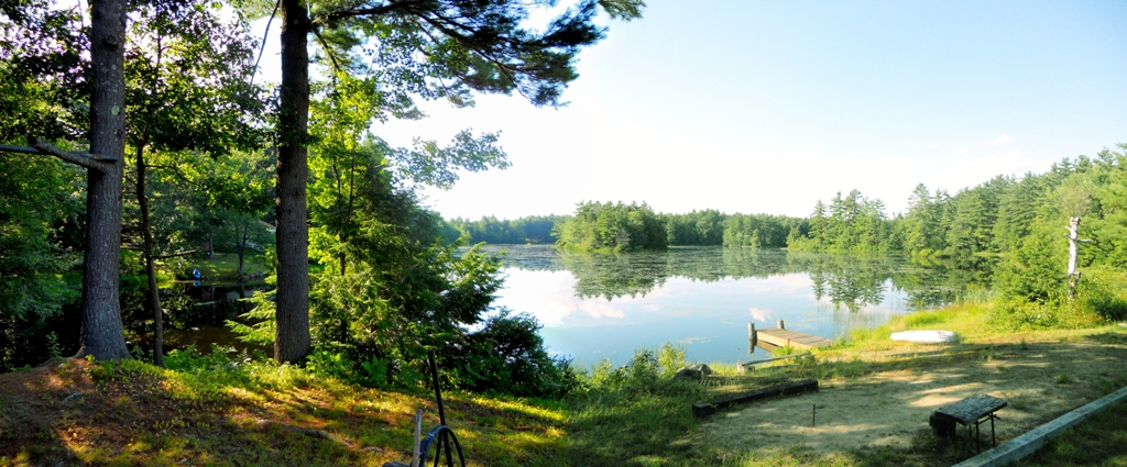 view from lodge